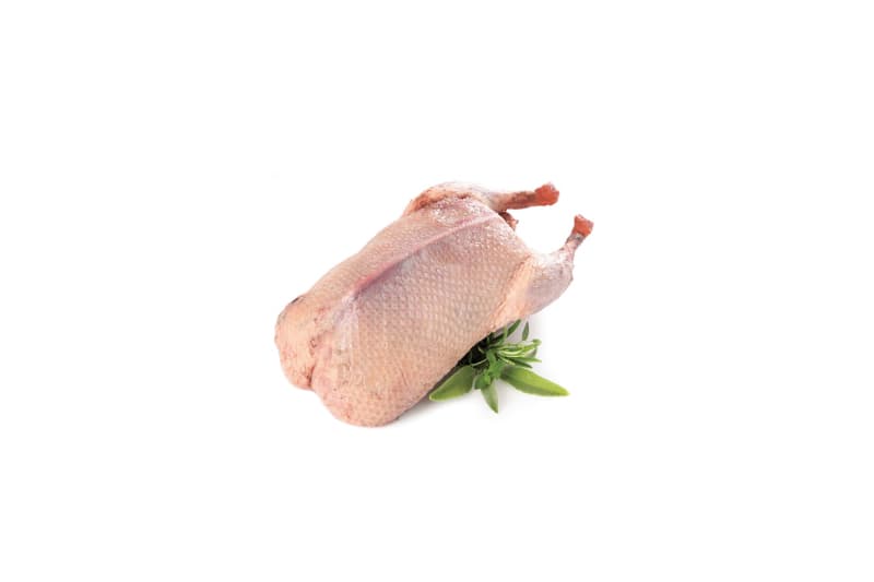 Duck Whole / Pato Entero